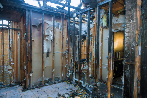 Professional Fire Damage Removal technician working in Beallsville, MD